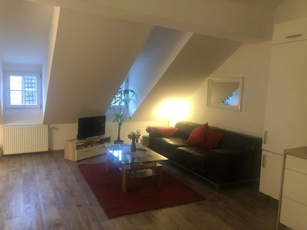 Old Bridge View Apartment Heidelberg Eksteriør billede